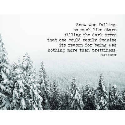 " Snow Was Falling "