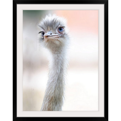 1x Photography " Natural Beauty " Print