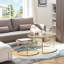 Lieselore Frame Coffee Table-934789650