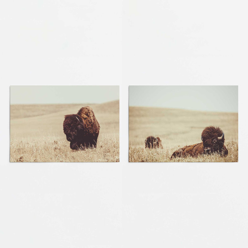 Prairie Bisons, ensemble de 2 impressions, Sans cadre, H 16 po x l 20 po