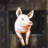 Smiling pig - 32"x32" art on canvas