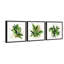 Melmore Coastal Greenery 3 Piece Painting