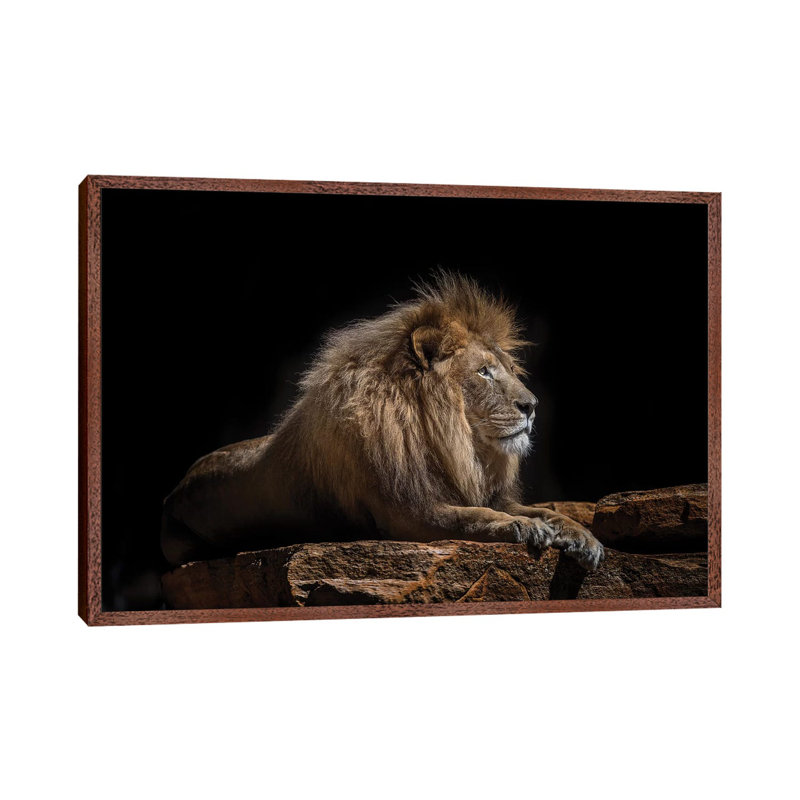 Lazarus by David Whelan - Print on Canvas, 66.04 cm H x 45.72 cm W, Classic Brown Wood Framed