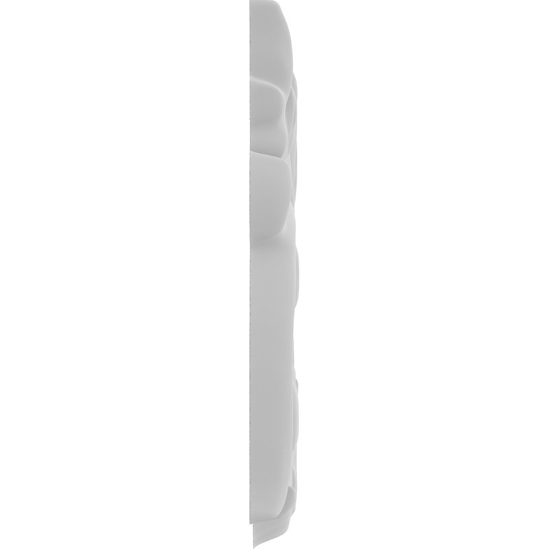 Applique Pinedale, H 10 po x l 5 po x P 0,63 po, Gauche