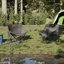 Folding Camping Chair-365856603