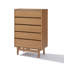 48.5'' H 5-Drawer Dresser, Modern Storage Dresser Chest for Bedroom Living Room