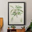 Amande antique botanique III-88436833-88436836