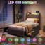 Upholstered Drawers Bed-1304044562-1304044565