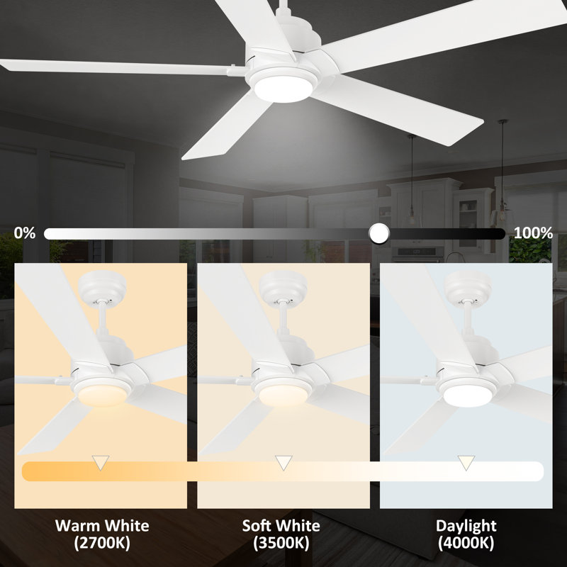56" 5 - Blade LED Smart Ceiling Fan with Light, White, White