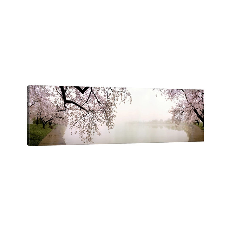 Cherry Blossoms At The Lakeside Washington Dc, Usa - Wrapped Canvas Panoramic Print, 152.4 cm H x 50.8 cm W x 3.175 cm D