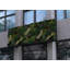 Faux Foliage Hedge