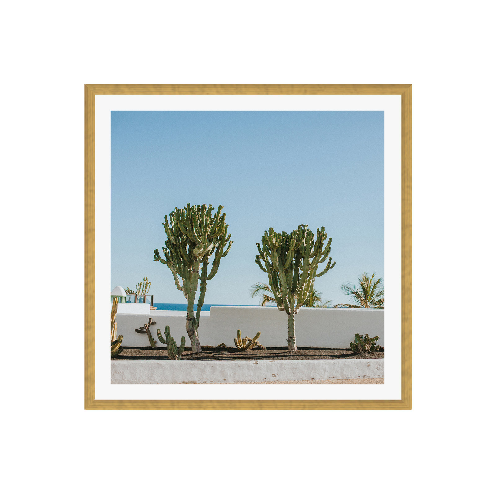 Hello Twiggs Three Cactus by Claudia Casal, No, Gold Floater Framed, 20" H x 20" W x 2" D