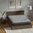 Hybrid 12 Inch Medium Firm Mattress with Pocketed Coils-2145566246