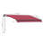 116.3"L x 96.5"W Wall Mounted Terrace Retractable Awning-250417958