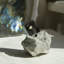 Pyrite cubique Ardehs