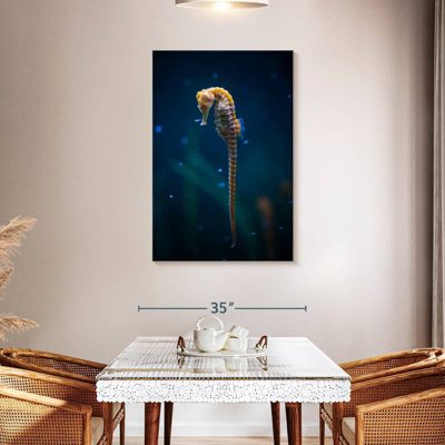 Brampt Long Tailed Seahorse