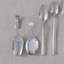 Tapas Tasting Specialty Spoon 12 Guests
