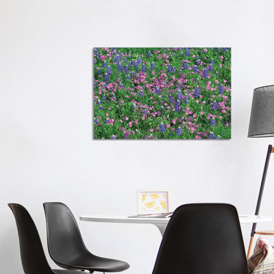 Sand Bluebonnet And Pointed Phlox by Tim Fitzharris - Wrapped Canvas Print