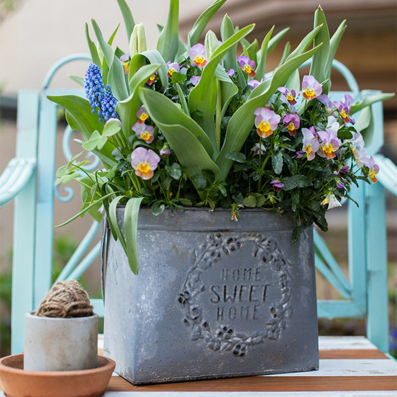 Pot de fleurs en fer Prendergast, H 15,5 po x l 9,5 po x P 7,5 po