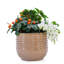 Pot de fleurs en céramique-65154606