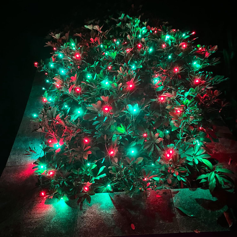 Net Lights