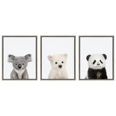 Baby Polar Bear, Baby Panda Bear and Baby Koala Bear by Amy Peterson Framed Canvas Wall Art Set