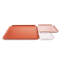 Powder Coated Steel Decorative Tray-23798510