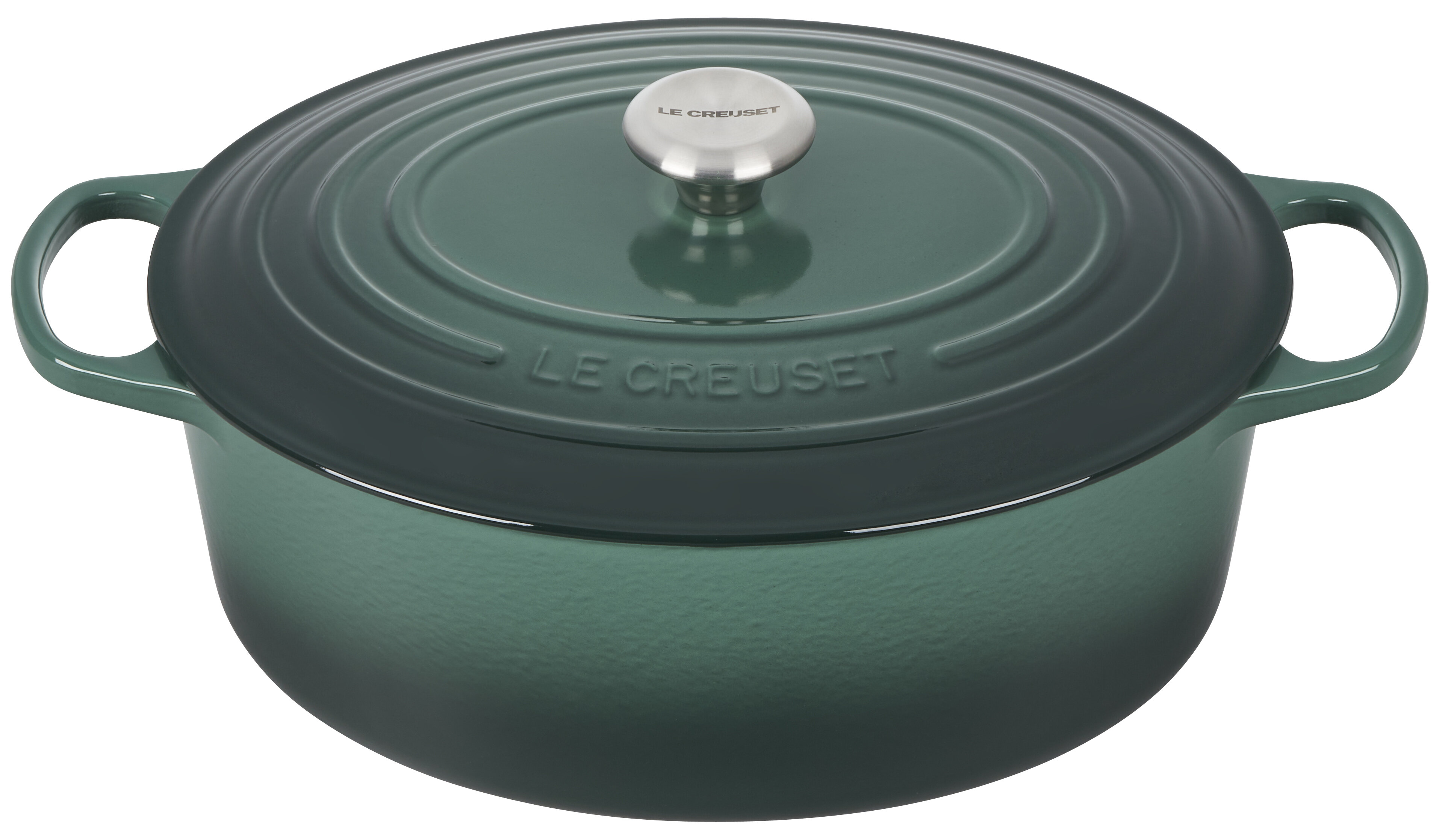 https://assets.wfcdn.com/im/36712498/compr-r85/1600/160036402/le-creuset-signature-enameled-cast-iron-oval-dutch-oven-with-lid.jpg