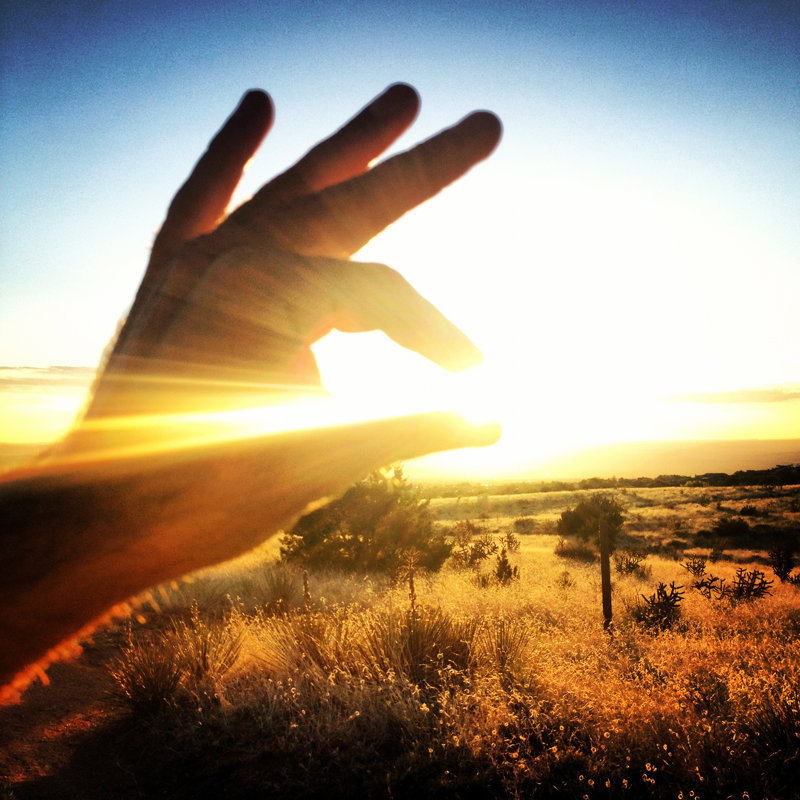 Catching Sunlight - Wrapped Canvas Print, 30cm H x 30cm W x 3.8cm D
