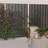 Pacifa 74.8'' H Privacy Screen