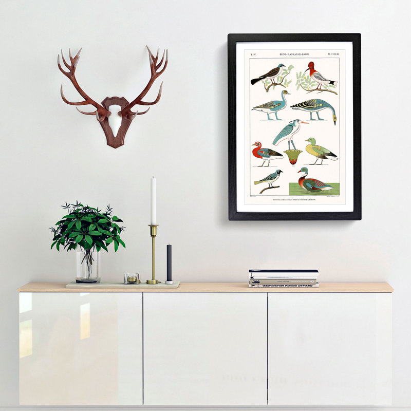 Birds & Ducks by J.F. Champollion - Picture Frame Painting Print, Black Framed, 36cm H x 27cm W x 2cm D
