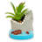 7'' Faux Succulent Plant