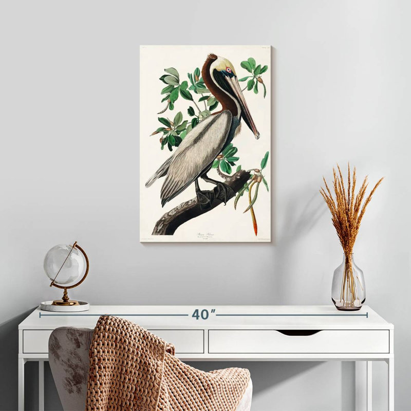 Brampt Brown Pelican II, 24" H x 16" W
