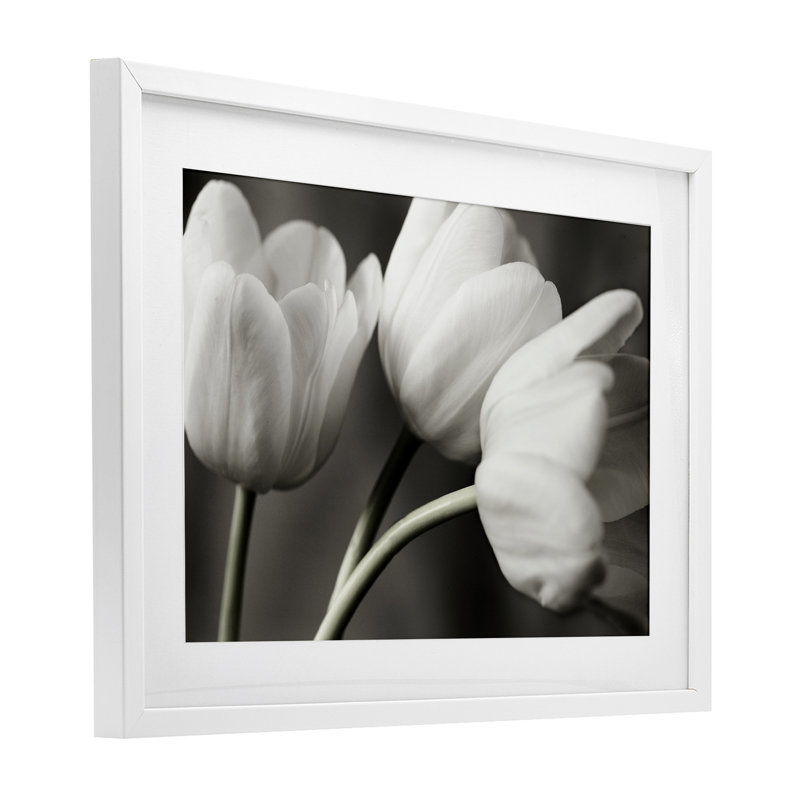 Rangée de tulipes monochromes, reproduction sous verre, conception par Tom Quartermaine, H 17 po x l 23 po