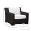 Fauteuil de patio rustique (sans coussins)-20521096
