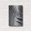 "Cycad, Michigan 80" par Monte Nagler-1949048219