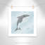 «Happy Shark», impression sur papier-47843017-47483546