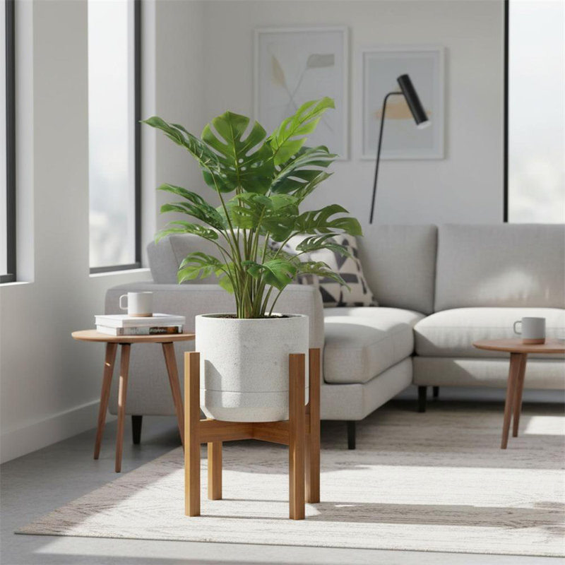 Plant Stand