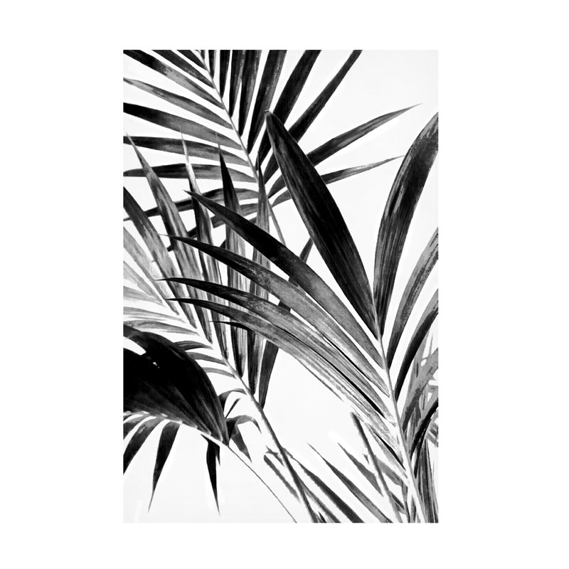 Art sur toile, noir et blanc 02, H 16 po x l 24 po