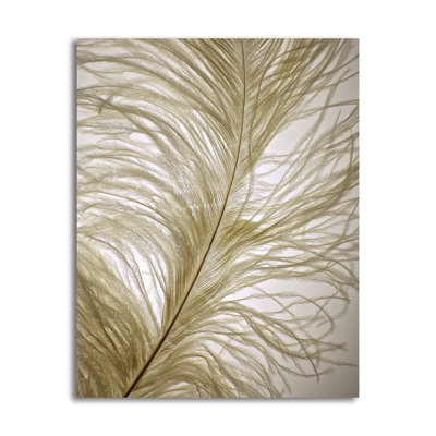 « plumes closes i », impression