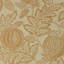 Cantaloupe Wallpaper-50889017