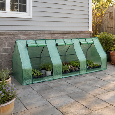 Greenhouse