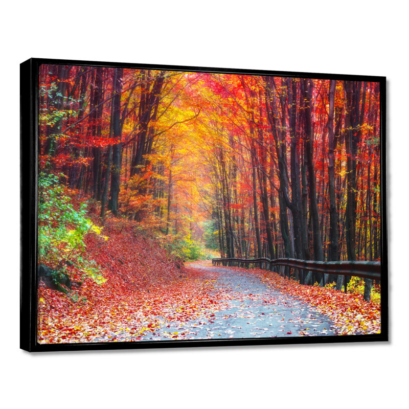 « Road In Beautiful Autumn Forest » - reproduction de photo, H 24 po x l 32 po, Cadre flottant, Noir