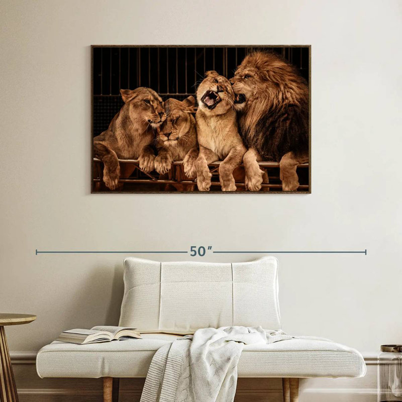 Fierté des lions, Cadre flottant noyer, 40 po x 27 po