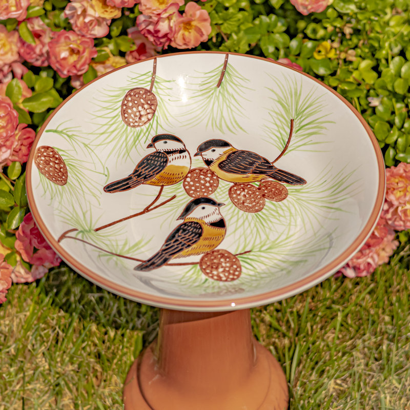 Manolita Ceramic Single Tier Birdbath