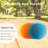 Reusable Plates, Pack of 6, 10", Picnic, Party, BBQ