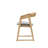 Avanti Mid-Century Solid Wood Arm Dining Chair with Curved Backrest (Set of 2)-1699727259