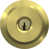Satin Brass