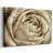 Neutral Wall Flower IV-Gallery Wrapped Canvas-2126424614