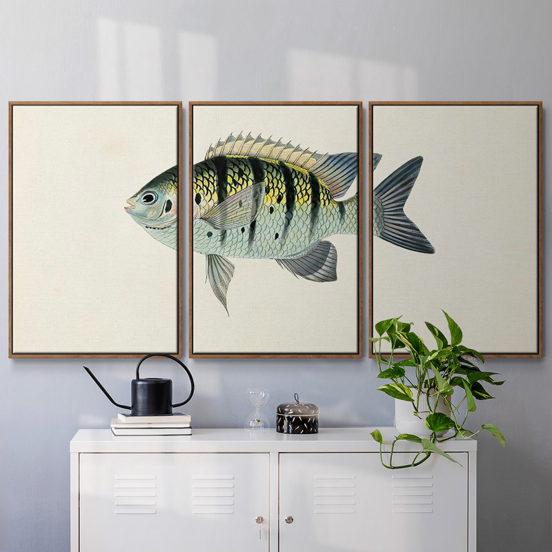 Collection de poissons tropicaux VI 3 pièces, H 36 po x l 75 po x P 2 po, Noyer